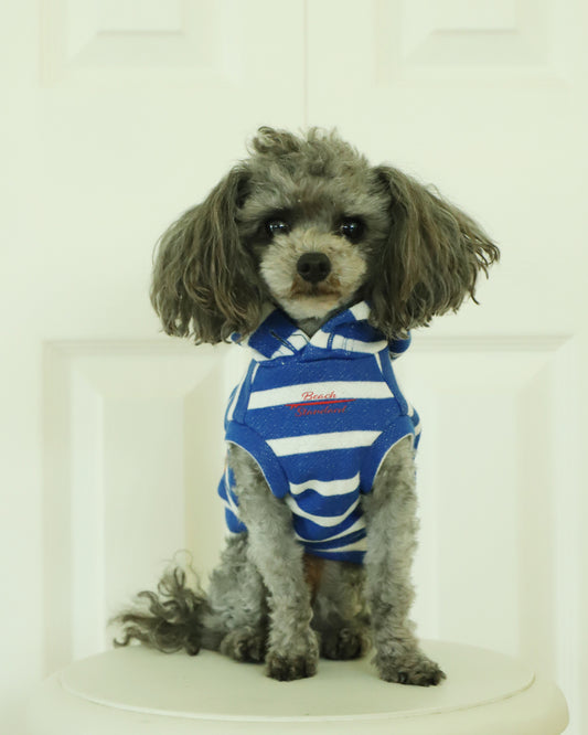 ビーチパーカー(ビッグフード)